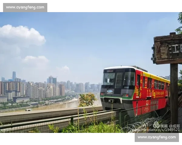 《海鲜寿司街比赛全攻略：从选材到技巧助你赢得冠军》